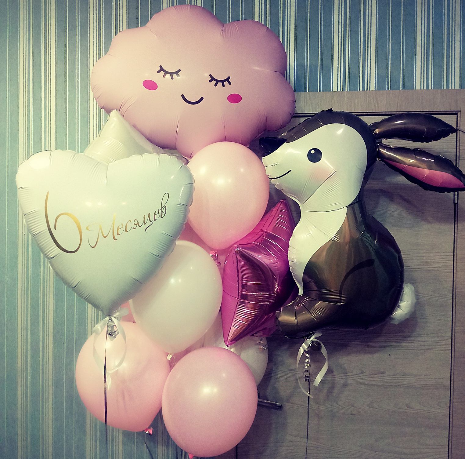 Набор 6месяцев Набор 6месяцев